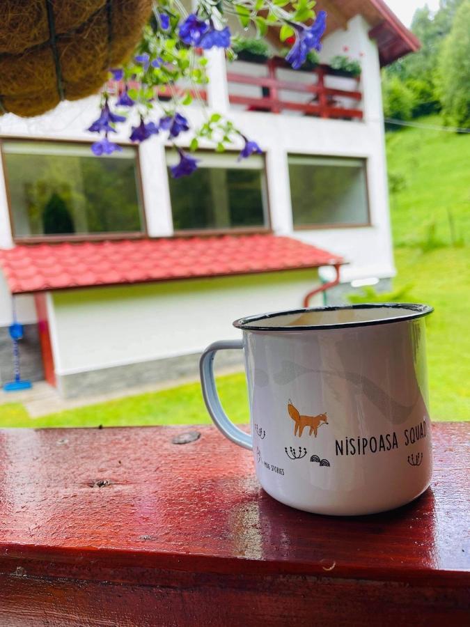 Cabana Nisipoasa Rîu de Mori Zewnętrze zdjęcie