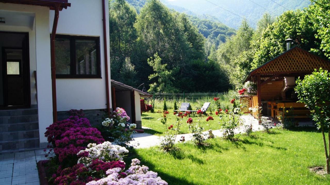 Cabana Nisipoasa Rîu de Mori Zewnętrze zdjęcie