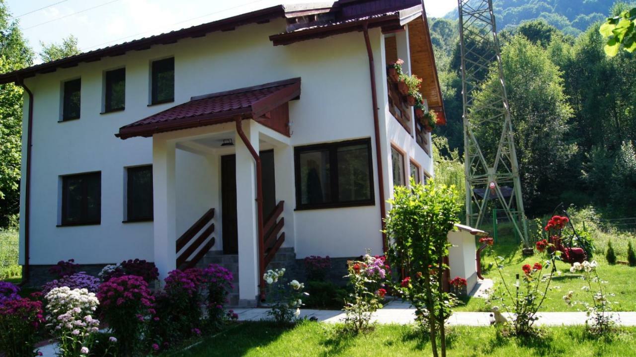 Cabana Nisipoasa Rîu de Mori Zewnętrze zdjęcie